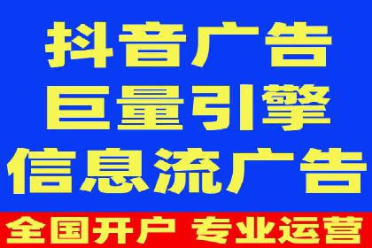 竞价广告的投放时机与频次选择——基于案例的探讨